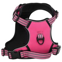 VidaXL Hondentuigje met riem en halsband verstelbaar m roze