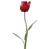 Bellatio Flowers & Plants Kunstbloem - tulp - iced afwerking - 65 cm - polyster - kunsttulp