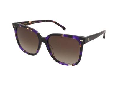 Zonnebrillen Carrera Carrera 3002/S HKZ/HA