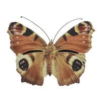 Bruin/oranje vlinder insectenhotel 20 cm - Insectenhotel