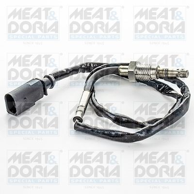 Sensor, uitlaatgastemperatuur 12397