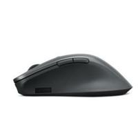 Muis Lenovo 4Y51J62544 Grijs 2400 dpi