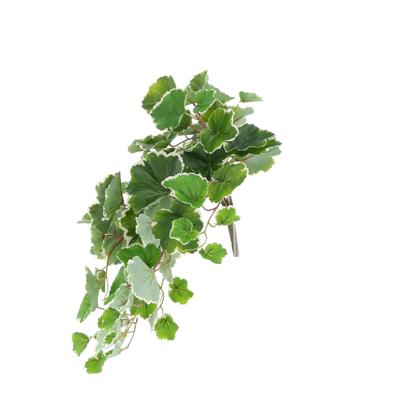 Saxifraga Kunsthanger 50cm bont
