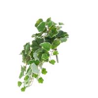 Saxifraga Kunsthanger 50cm bont