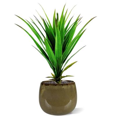 Yucca kunstplant 50cm