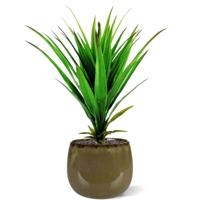Yucca kunstplant 50cm