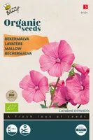 Biologische Lavatera, Bekermalva rose/rood - thumbnail