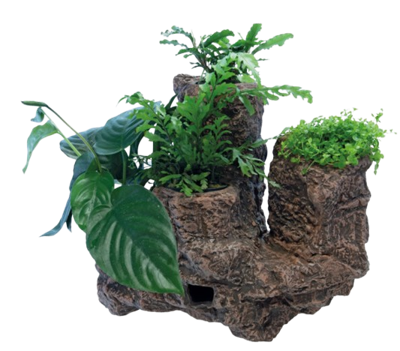 Superfish Scapers Floating Planty large Superfish Scapers Floating Planty large