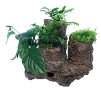 Superfish Scapers Floating Planty large