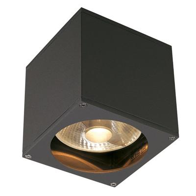 SLV Plafond- wandspotBig Theo GU10 13,5cm antraciet - 229565