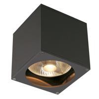 SLV Plafond- wandspotBig Theo GU10 13,5cm antraciet - 229565