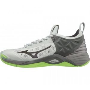 Mizuno Wave Momentum