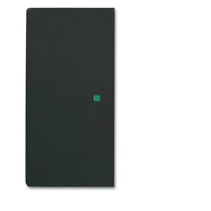 Busch-Jaeger 2CKA006220A0503 Afdekking 2-voudig free@home Zwart, Diepzwart (RAL 9005) 1 stuk(s)