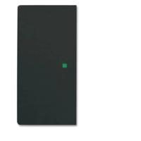 Busch-Jaeger 2CKA006220A0503 Afdekking 2-voudig free@home Zwart, Diepzwart (RAL 9005) 1 stuk(s)