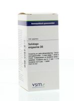 Solidago virgaurea D6