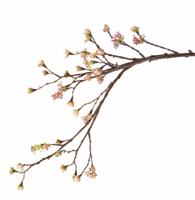 Esdoorn Acer tak met 27 knoppen & 8 bloemen met polyester schutblaadjes 111 cm - Top art