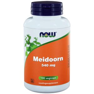 Meidoorn 540 mg