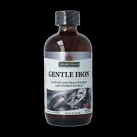 Natures Answer IJzer mild vloeibaar 240 Milliliter