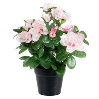 Azalea Kunstbloemen - in pot - wit/roze - H25 cm