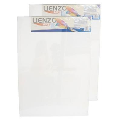 Canvas schildersdoek - 2x stuks - 70 x 50 cm - rechthoek - hobby verven/schilderen - DIY schilderije