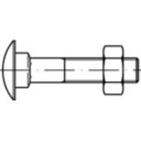 TOOLCRAFT TO-5448279 Platbolschroef M6 35 mm Vierkant DIN 603 Messing 100 stuk(s)