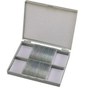 Bresser Microscoop preparaten 30 stuks: Mens