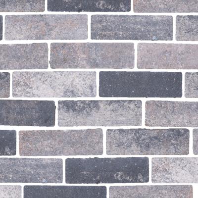 Veerse waterpasserende eco bricks geimpregneerd 7x21x8 cm prijs per m2 - Gardenlux