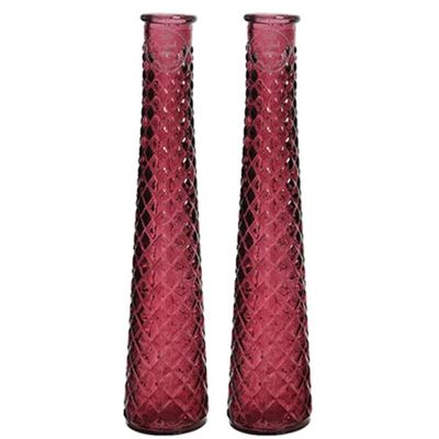 2x stuks vazen/bloemenvazen van gerecycled glas - D7 x H32 cm - rood