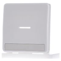 CD 590 NAKO5 WW  - Cover plate for switch/push button white CD 590 NAKO5 WW - thumbnail