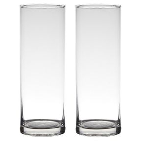 Set van 2x stuks transparante home-basics cylinder vorm vaas/vazen van glas 24 x 9 cm