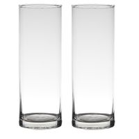 Set van 2x stuks transparante home-basics cylinder vorm vaas/vazen van glas 24 x 9 cm