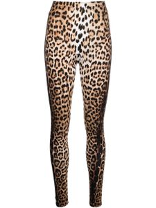 Roberto Cavalli legging taille-haute à imprimé léopard - Tons neutres