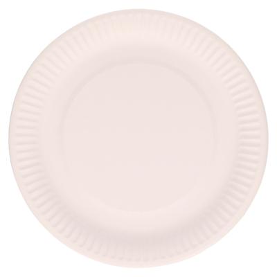 DID Wegwerpbordjes - karton - 100x stuks - rond - 23 cm - wit