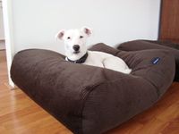 Dog's Companion® Hondenbed chocolade bruin ribcord medium