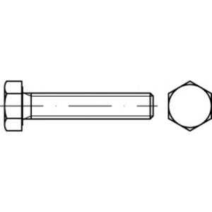 TOOLCRAFT TO-5443734 Zeskantbout 50 mm 22 mm Buitenzeskant 83933 Staal Galvanisch verzinkt 50 stuk(s)