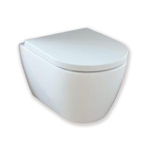 Royal Plaza Primo Toiletset - 48.5cm - hangend - spoelrandloos - diepspoel - verkort - met zitting - softclose - quick release - wit SW395613/SW800088