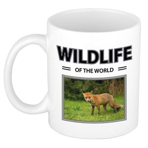 Vos mok met dieren foto wildlife of the world