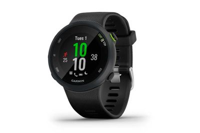 Garmin Garmin Forerunner 45 Zwart Smartwatch