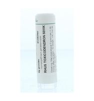 Rhus toxicodendron 50MK - thumbnail