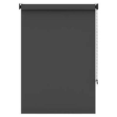 Fenstr rolgordijn lichtdoorlatend antraciet - 180x190 cm - Leen Bakker