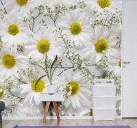 Madeliefje bloem fotobehang behang