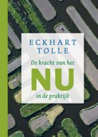 De kracht van het nu in de praktijk - Eckhart Tolle - ebook