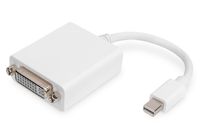 Digitus AK-340406-001-W DisplayPort / DVI Adapter [1x Mini-DisplayPort stekker - 1x DVI-bus 24+5-polig] Wit 15.00 cm