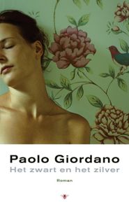 Het zwart en het zilver - Paolo Giordano - ebook