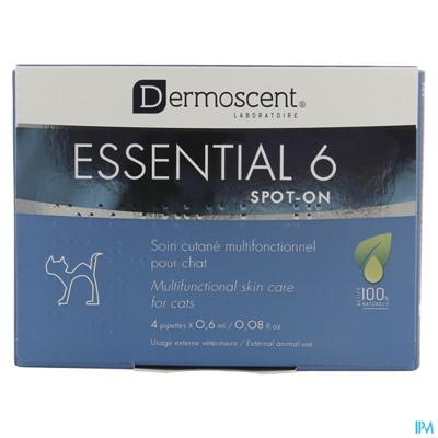 Essential 6 Spot-on Kat Pipet 4x0,6ml