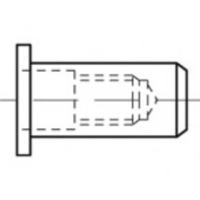 TOOLCRAFT TO-5455281 Popmoer M8 250 stuk(s)