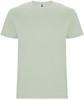 Roly RY6681K Kids´ Stafford T-Shirt - Mist Green 264 - 9/10 years
