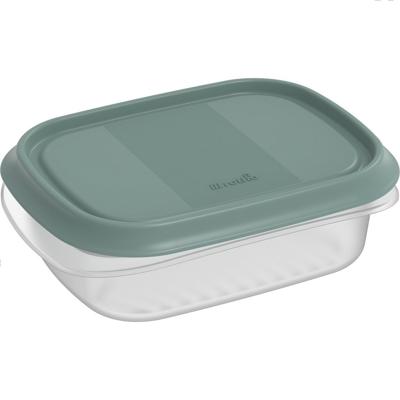 Rotho ELEMENTS Koelkast Bewaardoos 16x12x5 cm 0.5L Mistletoe Groen/Transparant