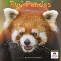Rode Panda Kalender 2026