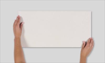 Wandtegel Argenta Mistery 60x30cm white mat